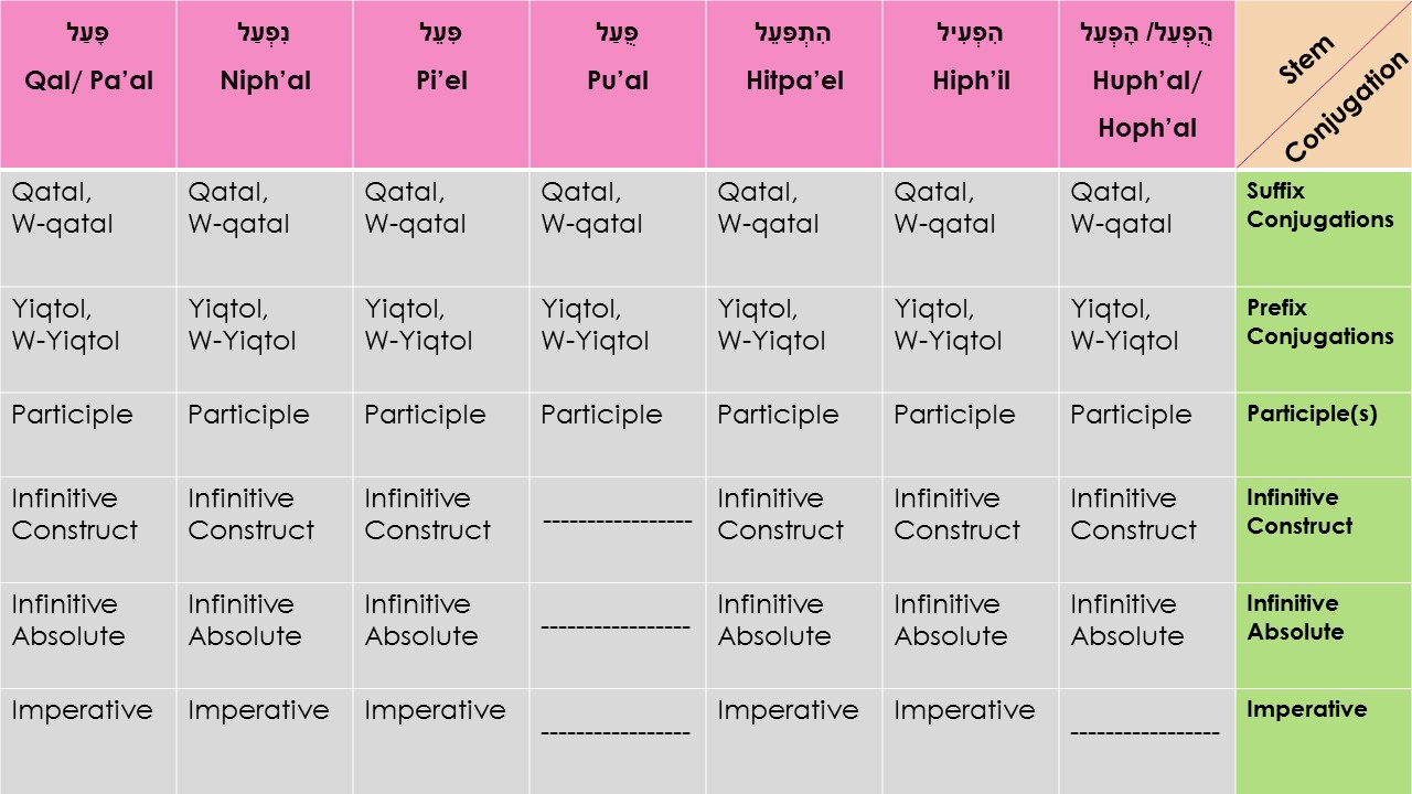 stems-and-conjugations