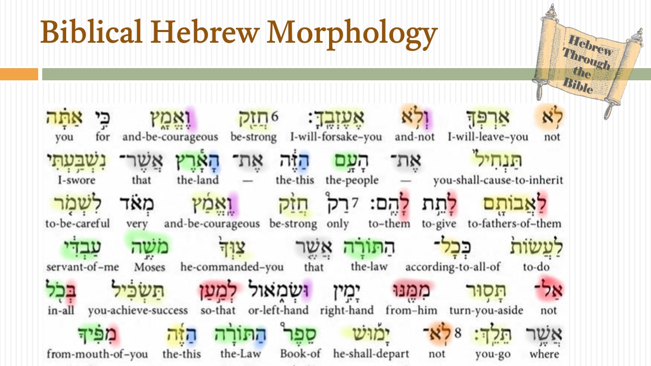 Biblical Hebrew Morphology